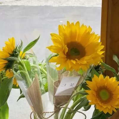 英伟达、AMD领涨芯片股，战争担忧缓解